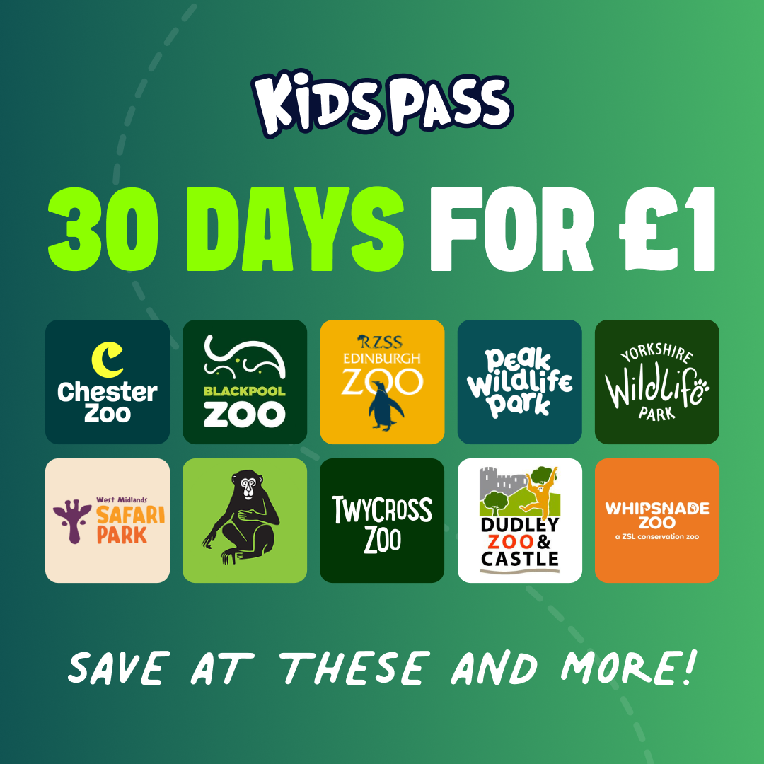 Kids Pass Facebook ad