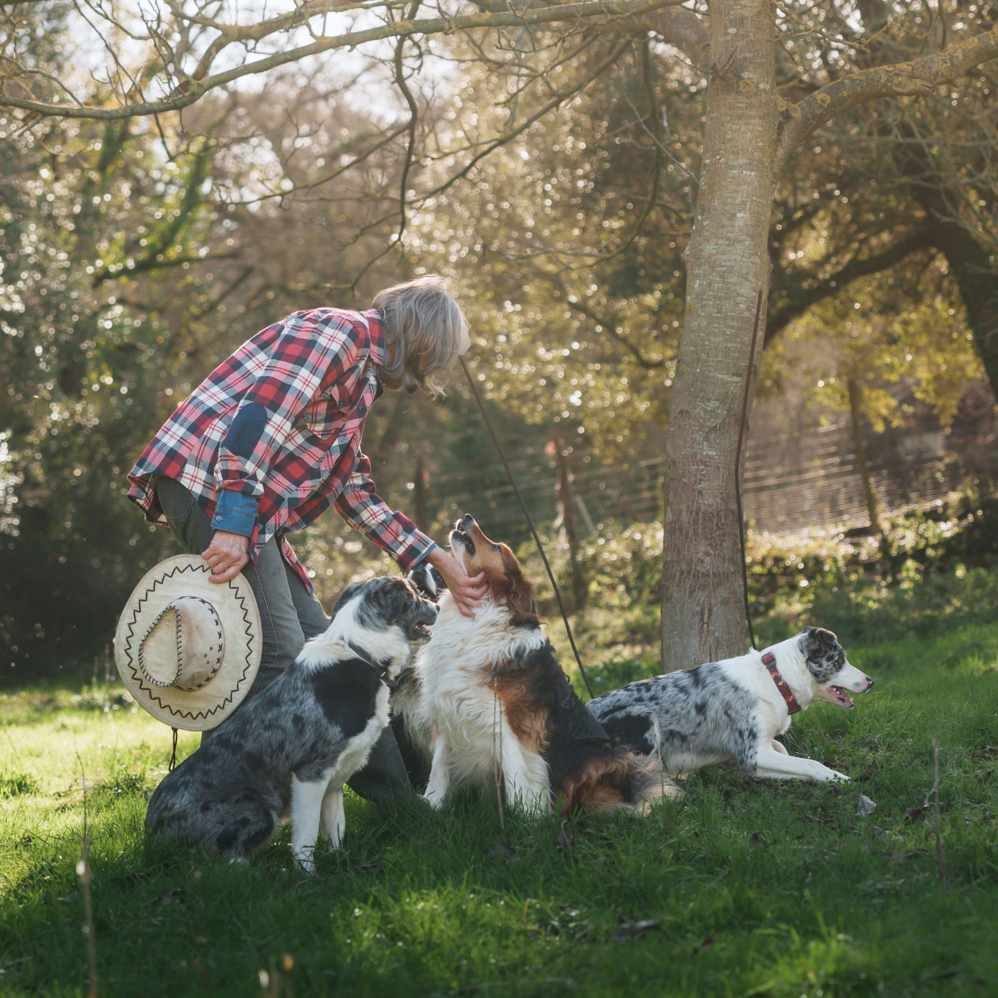 Bien dans mon âge Facebook ad: À 70 ans, Martine accueille des chiens temporairement et y…