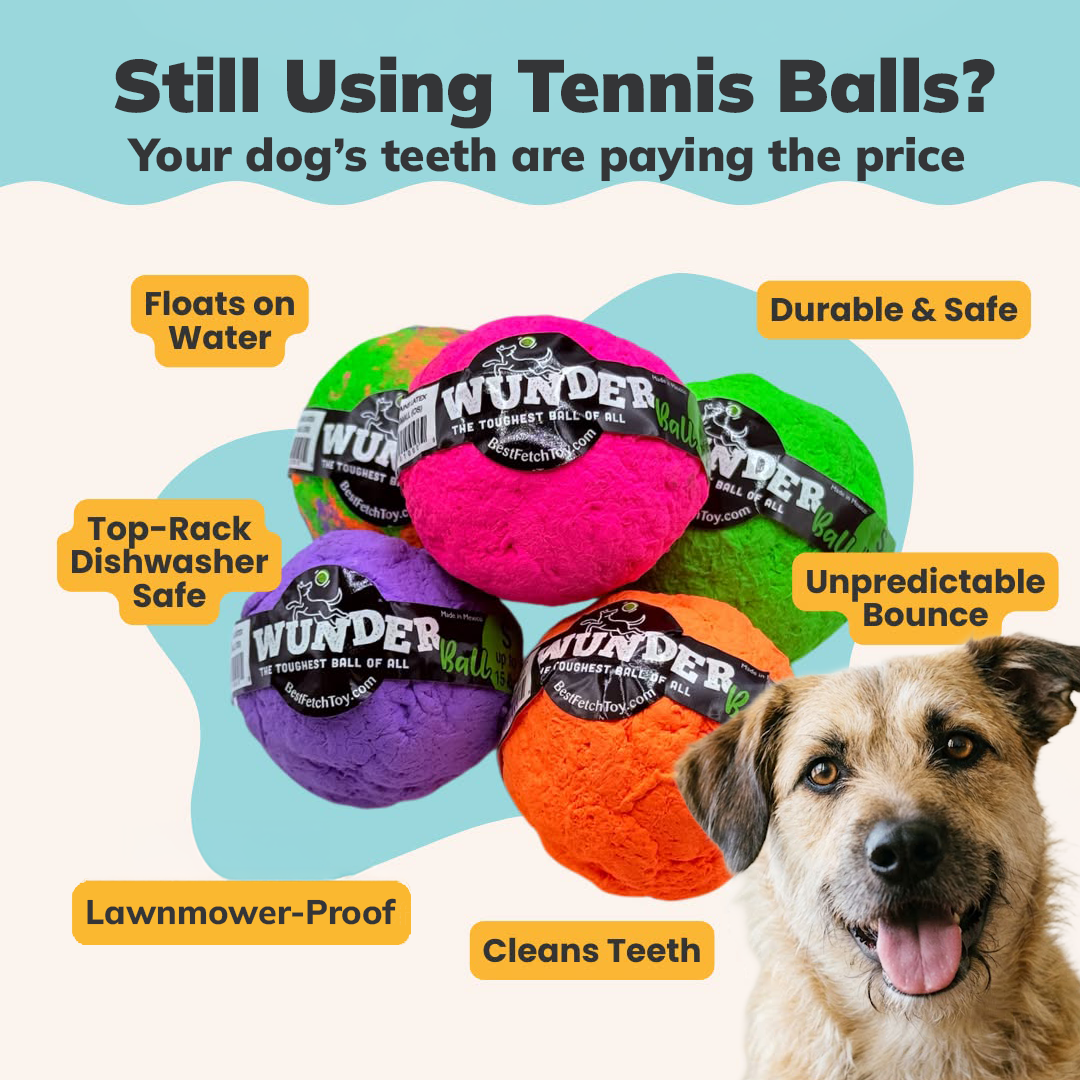 WACKYwalk'r Facebook ad: The fetch ball your vet wishes you'd been using.