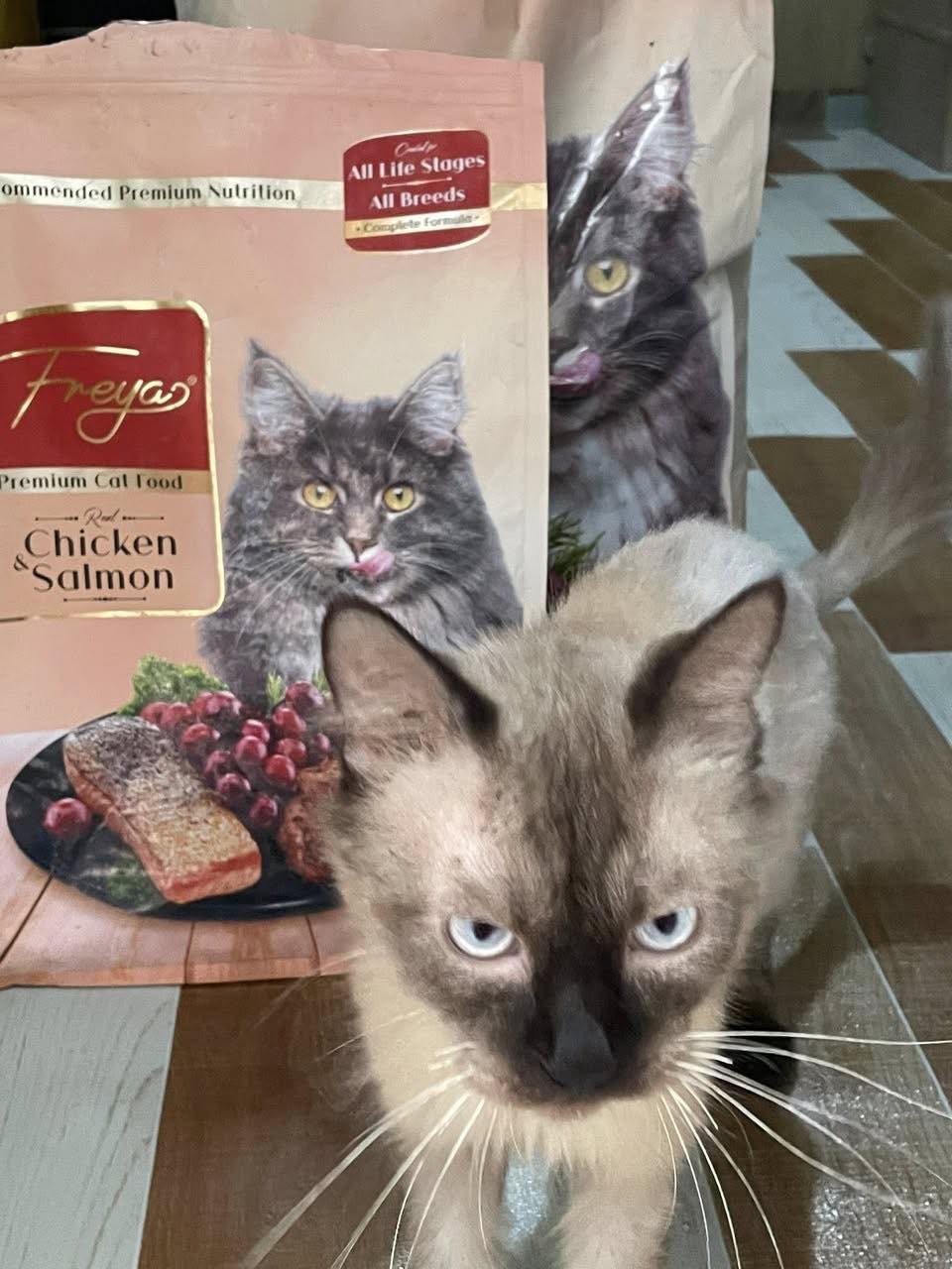 Same Day Pet Products Cabuyao Facebook ad: FROM SUPER PAYAT TO CHUBBY!