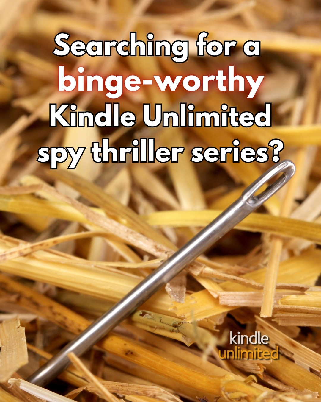 Author Brad Lee Facebook ad