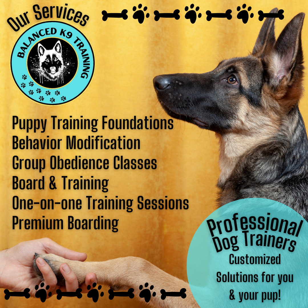 Balanced K9 Training Facebook ad: Professional Dog Training.