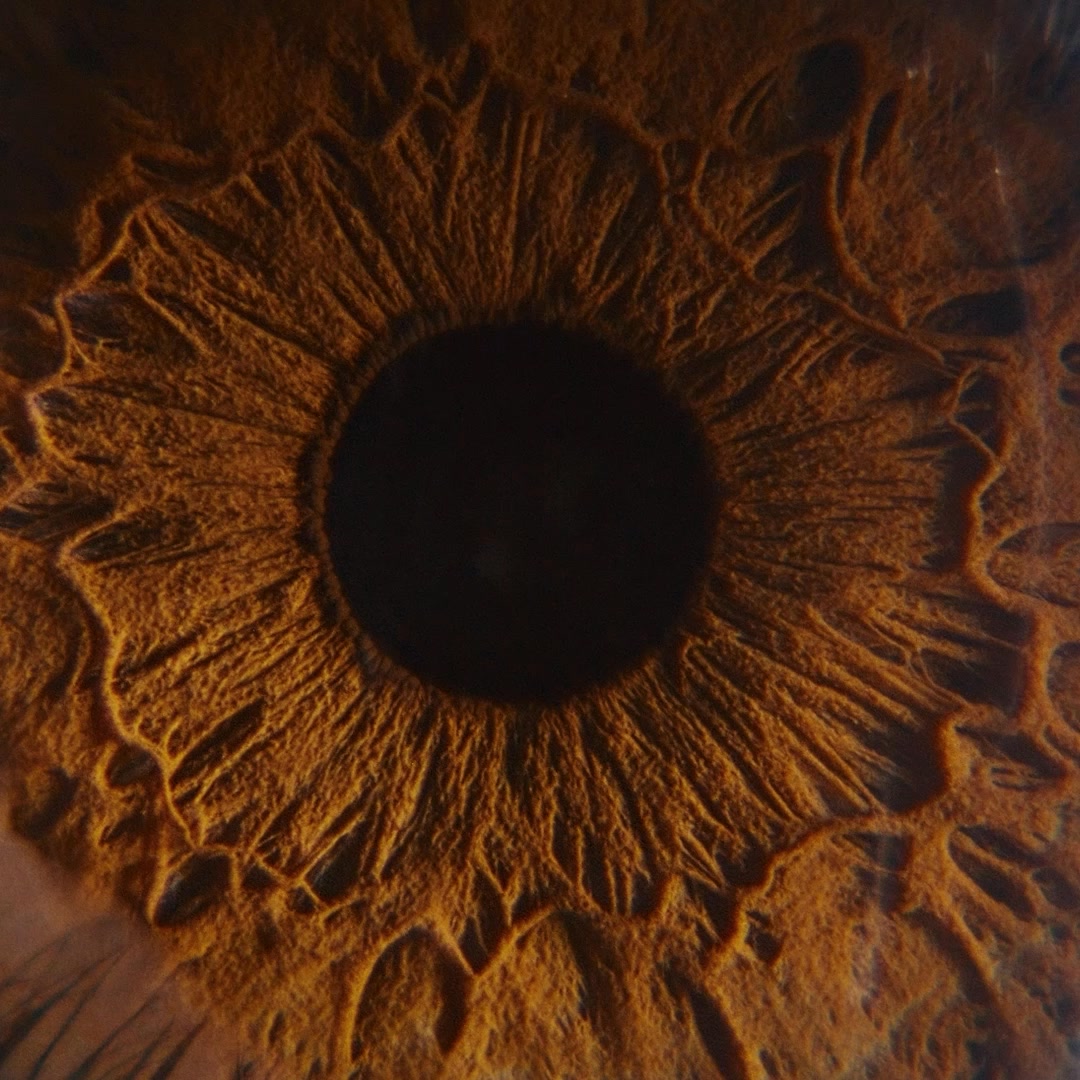 Ontario Association of Optometrists Facebook ad: Learn your story