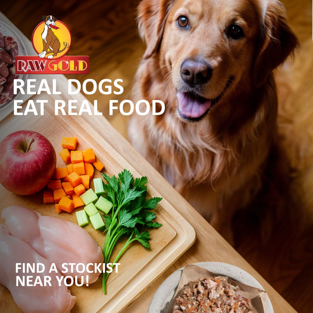 Raw Gold - Premium Hormone Free Raw Food for dogs Facebook ad