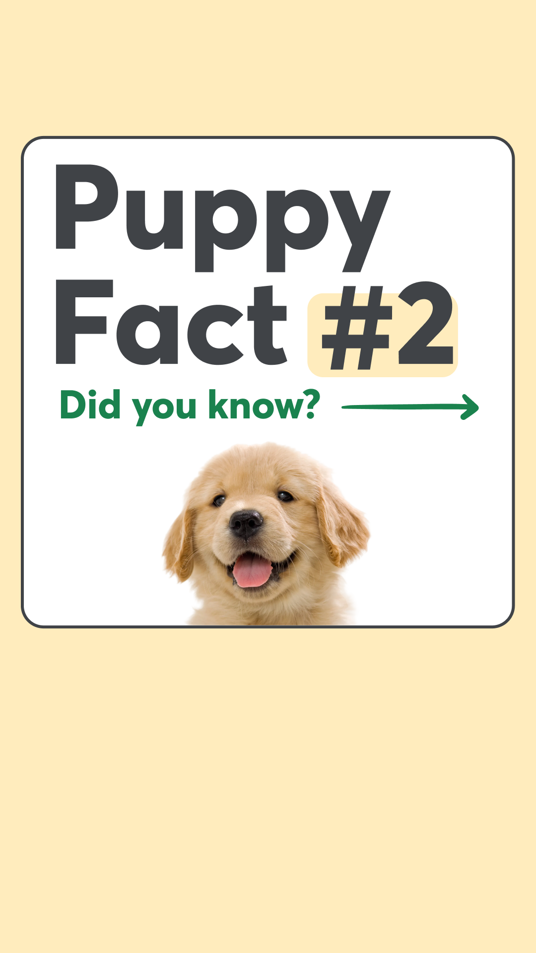 Rover.com Facebook ad