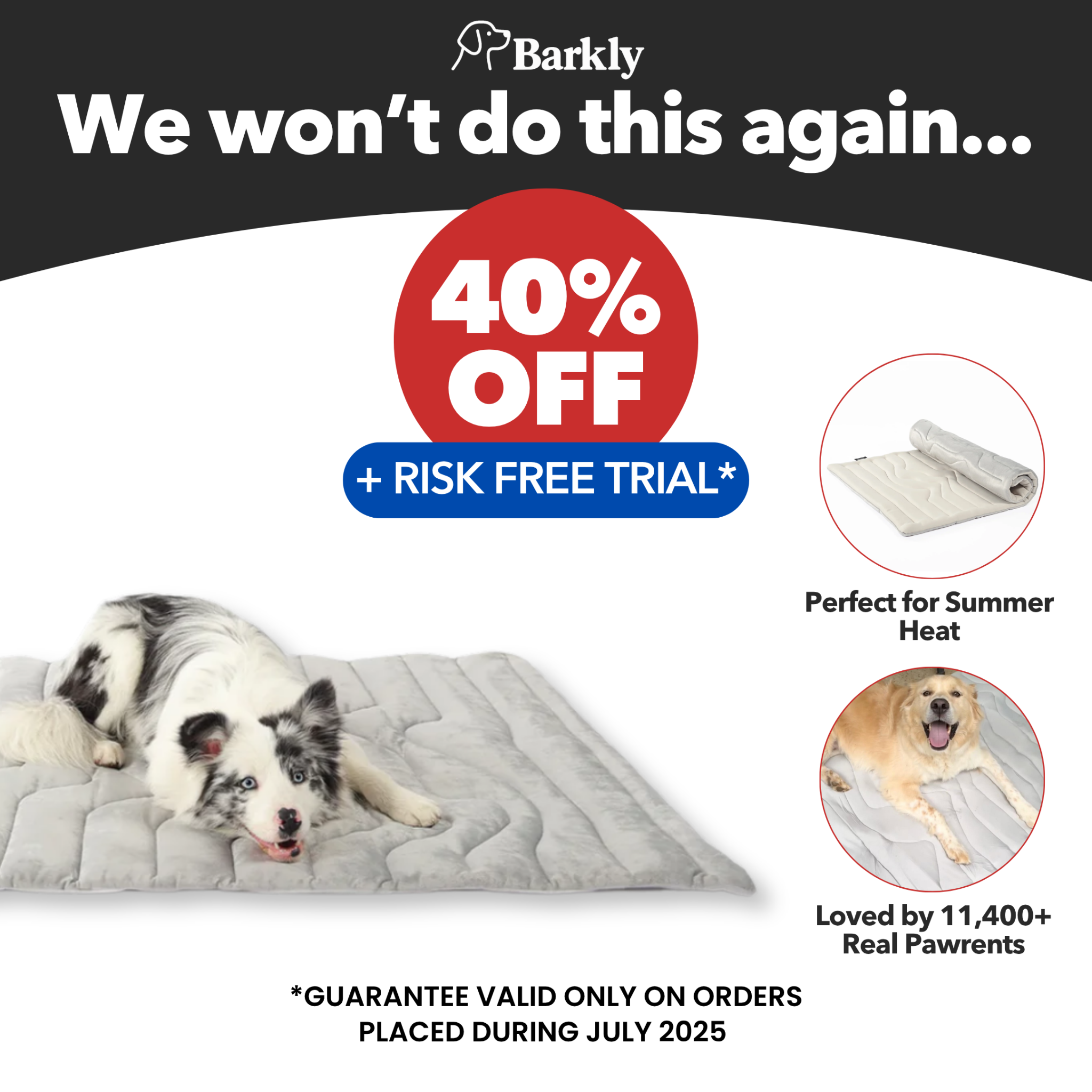 Barkly Facebook ad