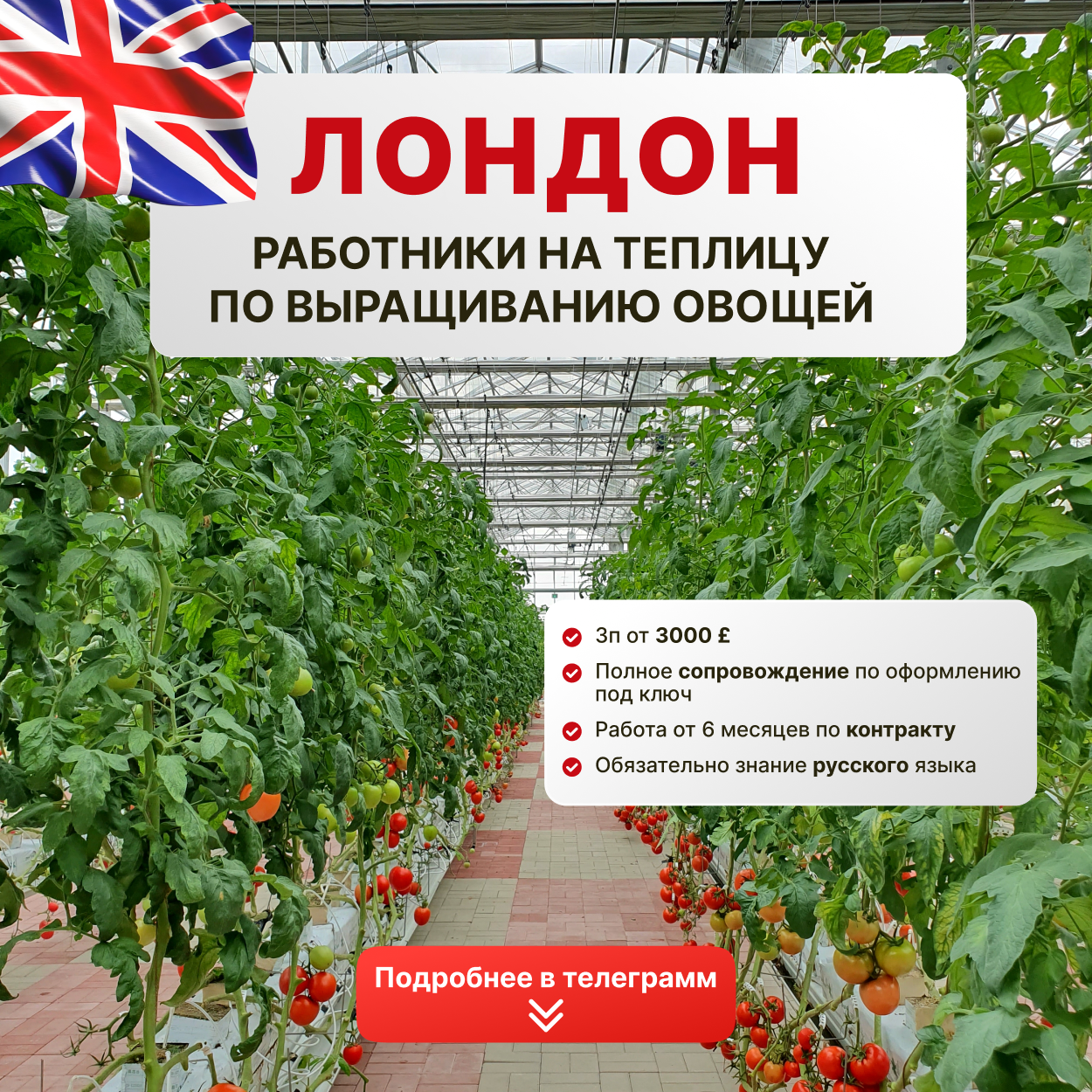Concept Group Facebook ad: Оставляй заявку по кнопке ниже!