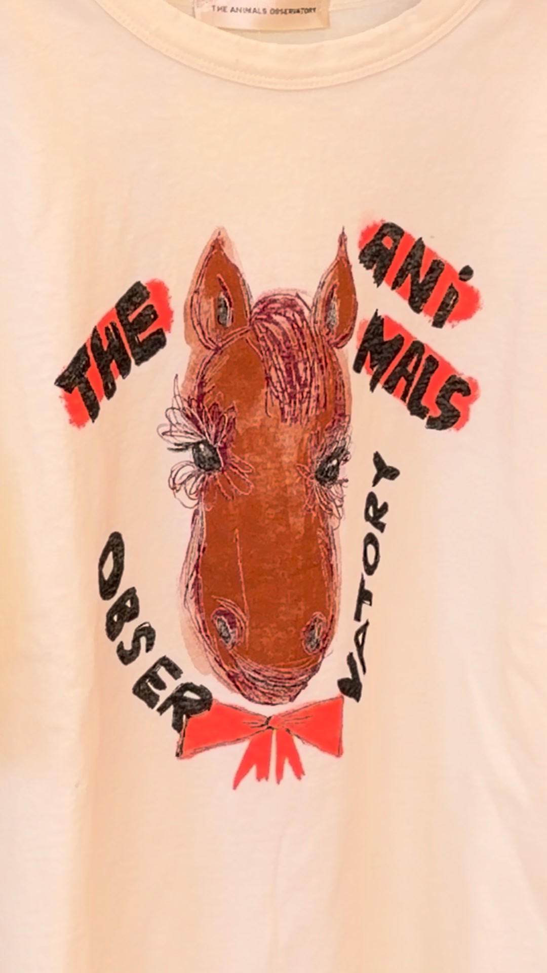 The Animals Observatory Facebook ad: Fall-Winter 2026