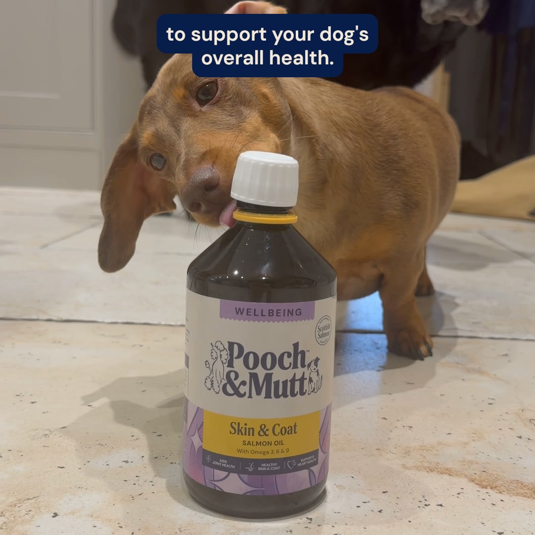 Pooch & Mutt Facebook ad: Salmon Oil for Dogs