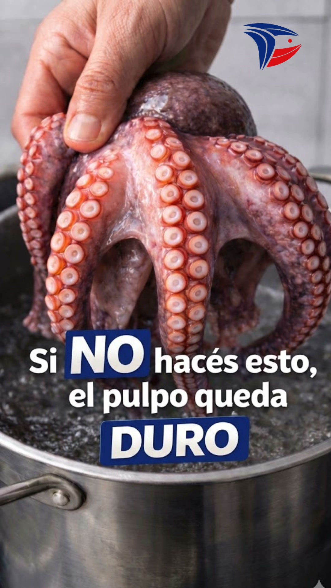 PESCE Frutos de Mar Facebook ad: El pulpo que estabas buscando