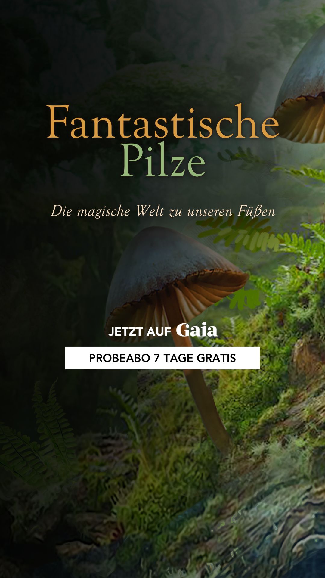Wir sind Gaia Facebook ad