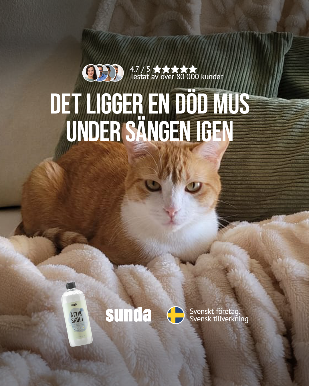 Sunda Facebook ad