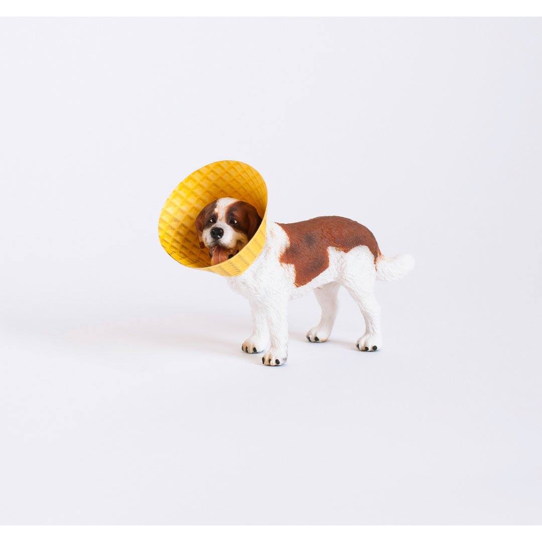 Lucy & Co. Facebook ad