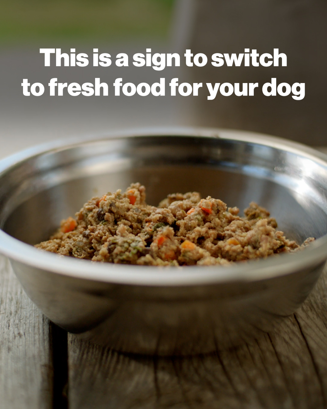 The Farmer's Dog Facebook ad