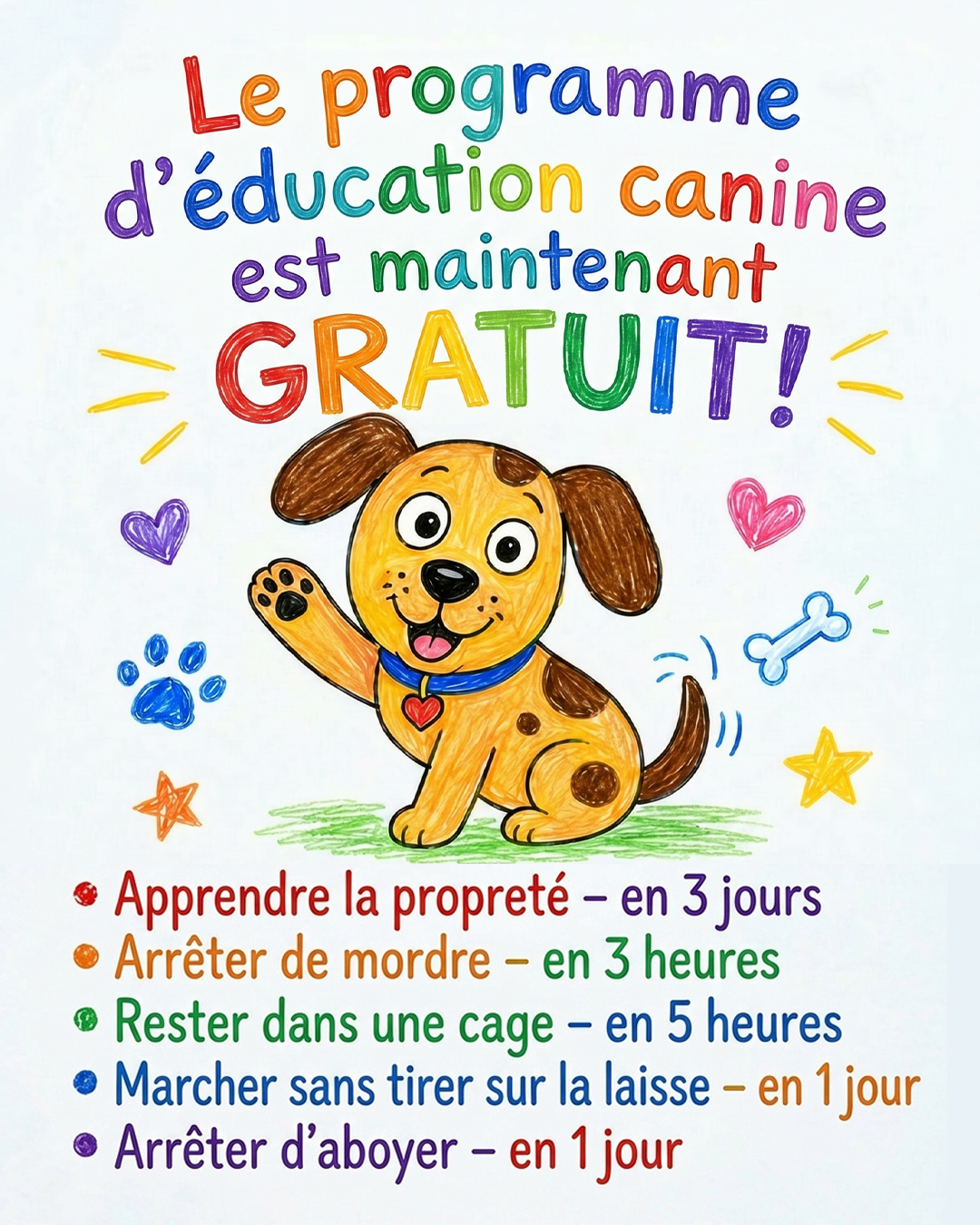 Ben Your Puppy Trainer Facebook ad