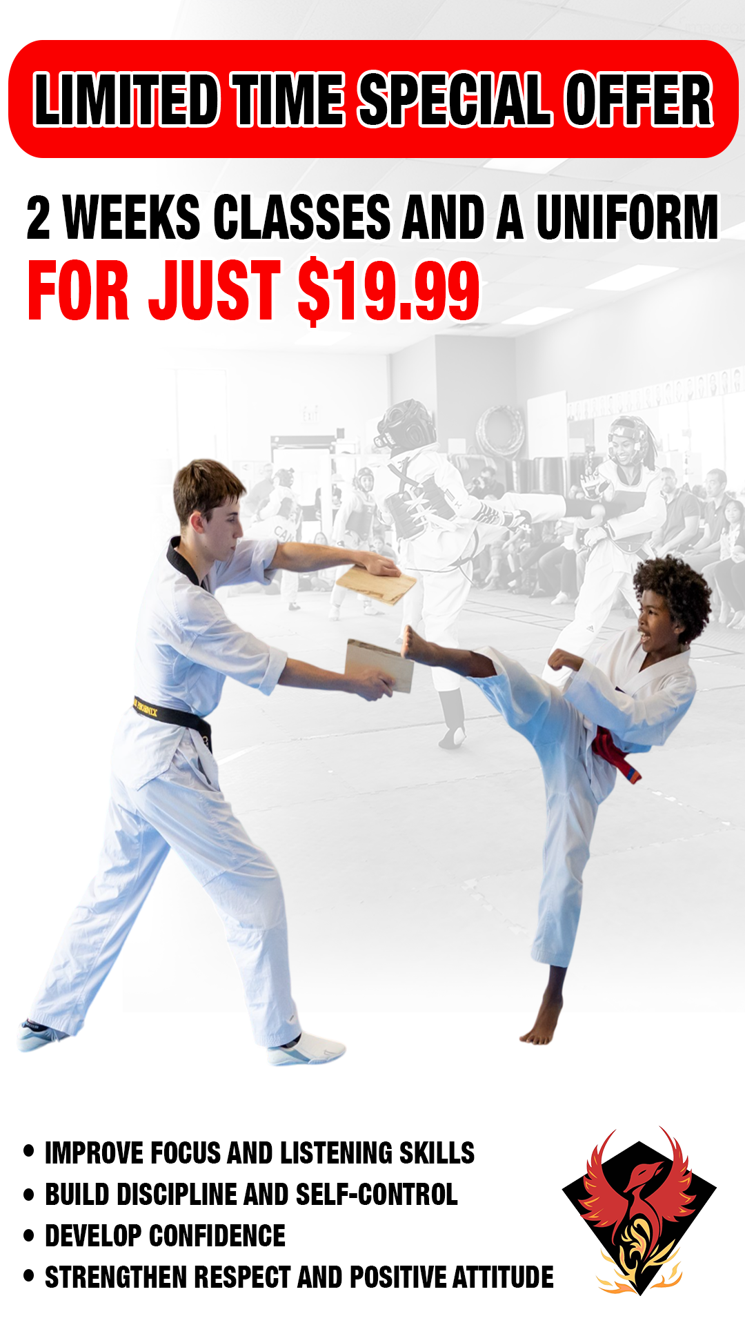 Phoenix Taekwondo  Martial Arts Academy Facebook ad