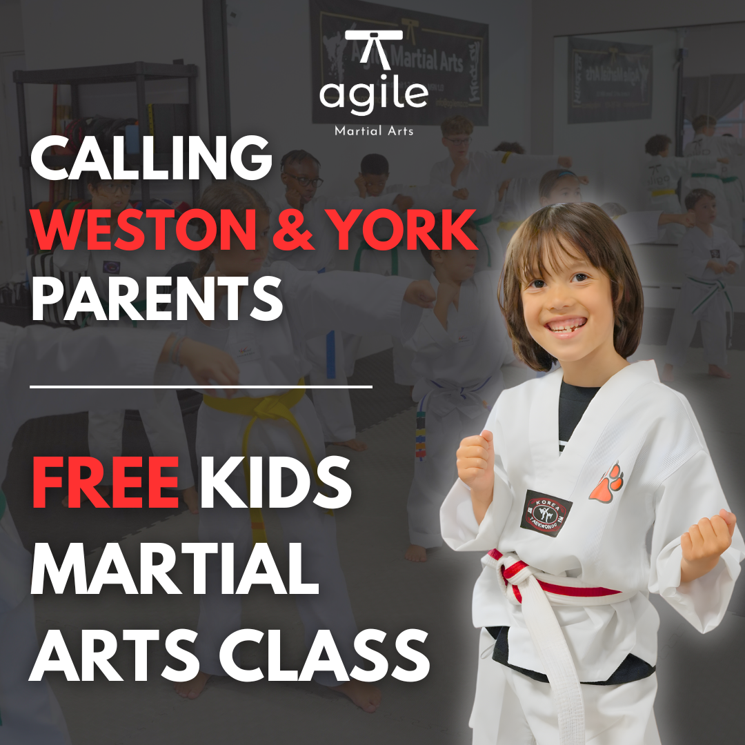 Agile Martial Arts Facebook ad: Kids Martial Arts (Ages 4+) | Free Trial Pass