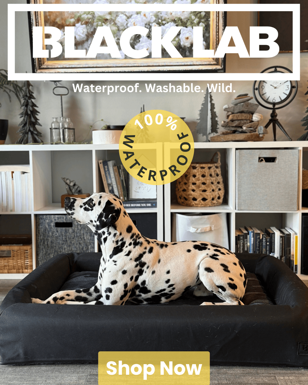 Black Lab Brands Facebook ad