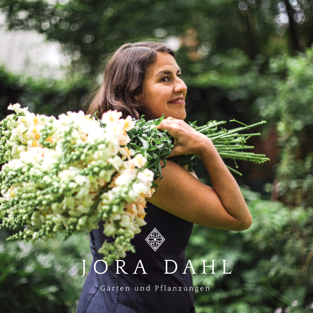 Jora Dahl Facebook ad