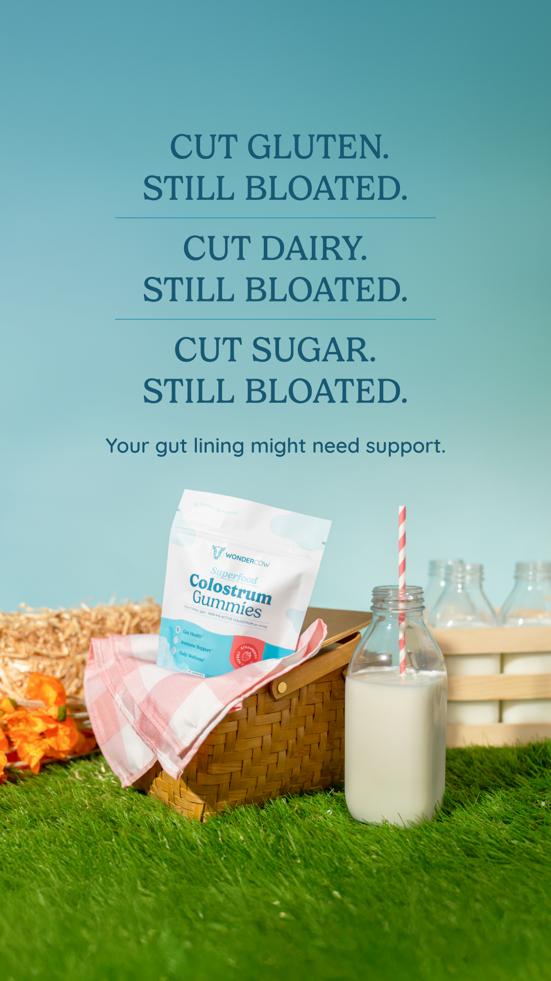 Wondercowusa Facebook ad