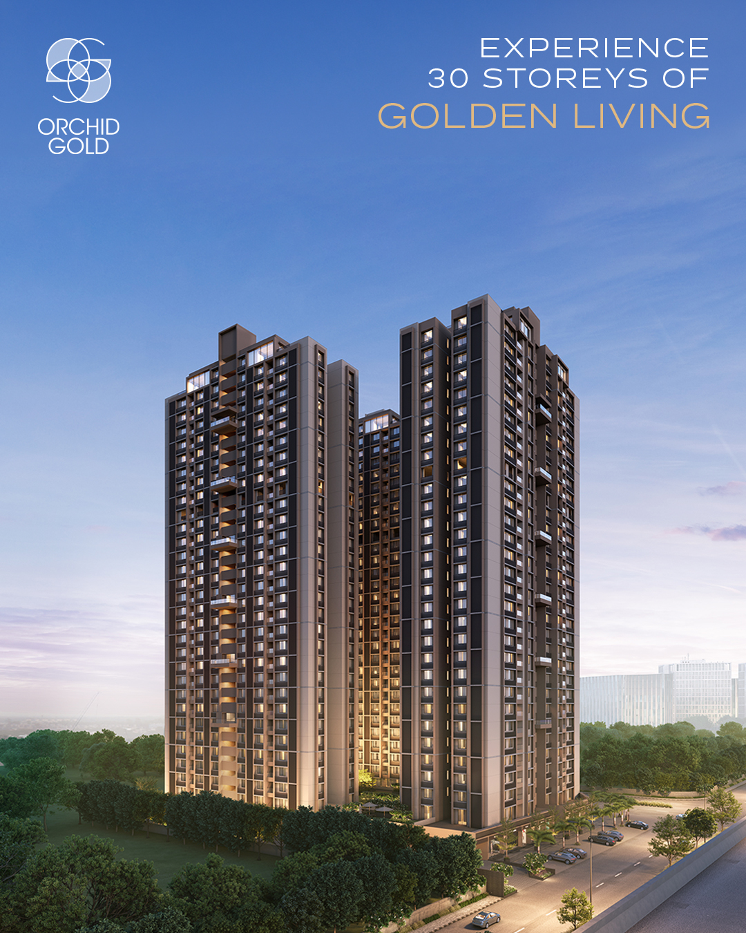 Goyal & Co. Facebook ad