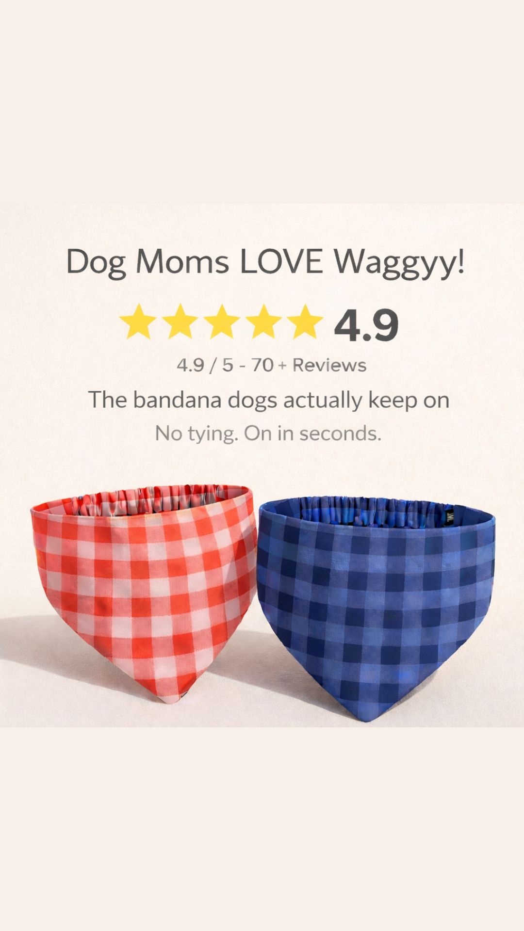 waggyydog Facebook ad from Jan 9, 2026