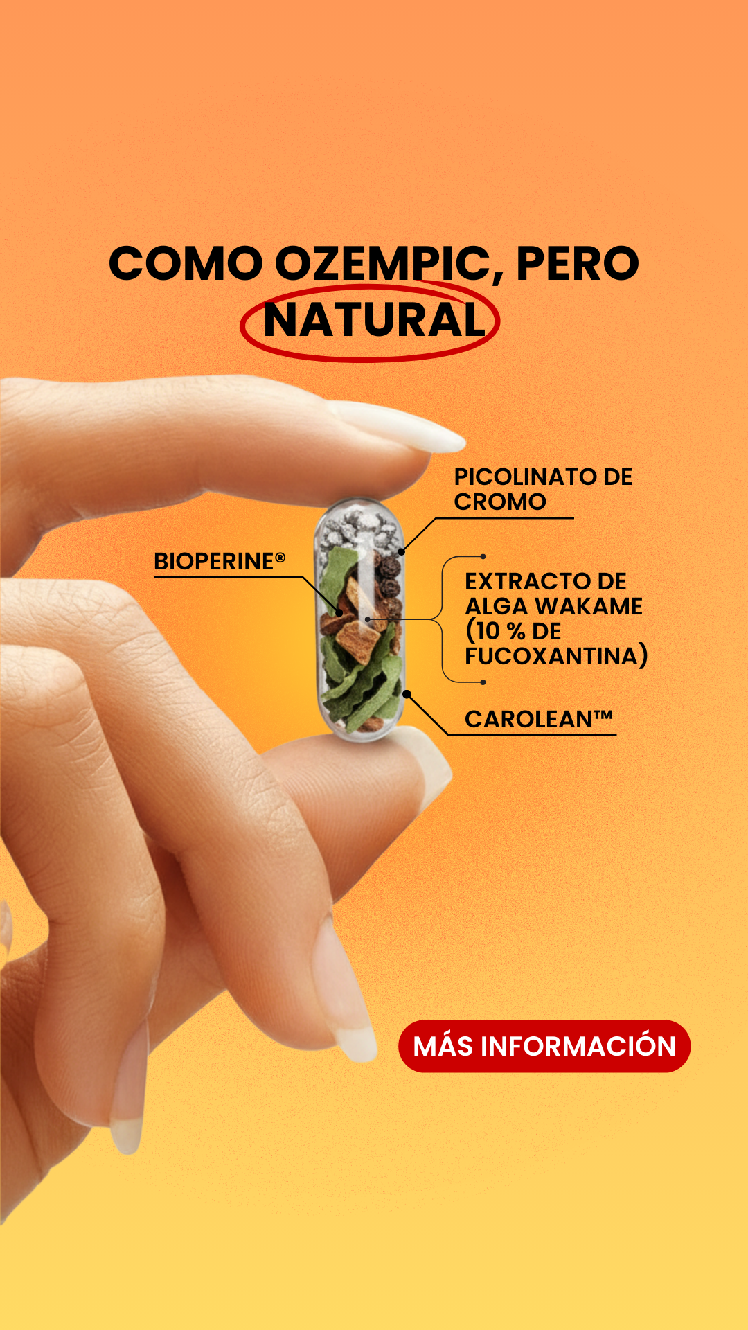 Golden Tree España Facebook ad: GLP-1: ¿Qué se esconde detrás de las impresionantes…