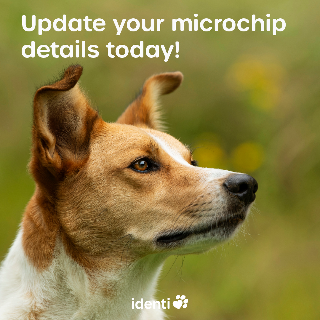 identibase Facebook ad: Microchipped? Registered? Your pet’s safety is only…