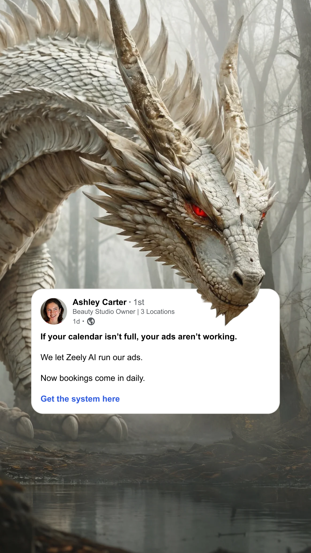 Zeely Facebook ad
