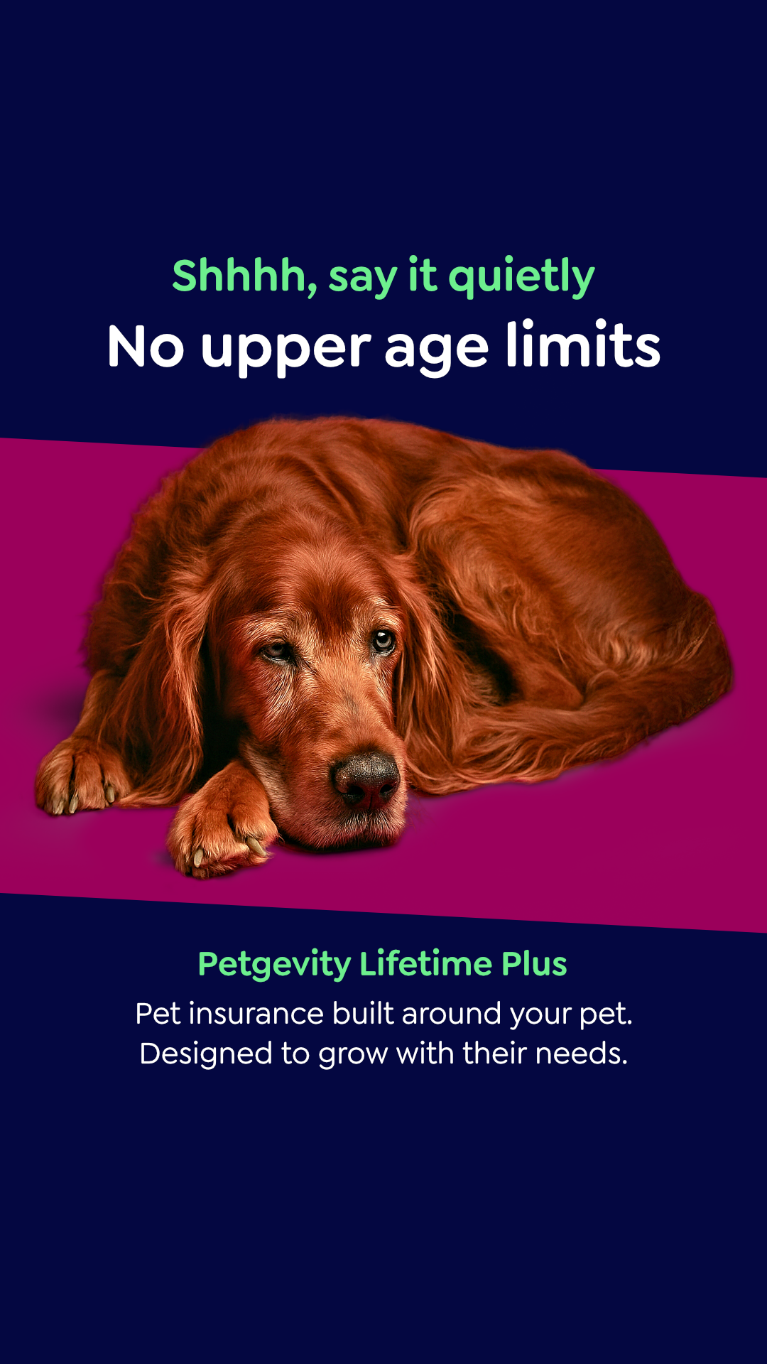 Petgevity UK Facebook ad