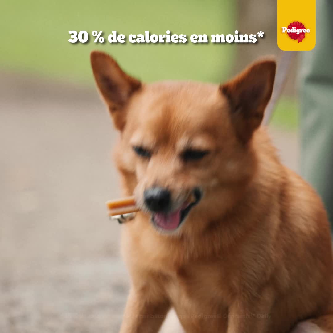 Pedigree France Facebook ad: Aidez-le à combattre les problèmes de bouche qui fait la…