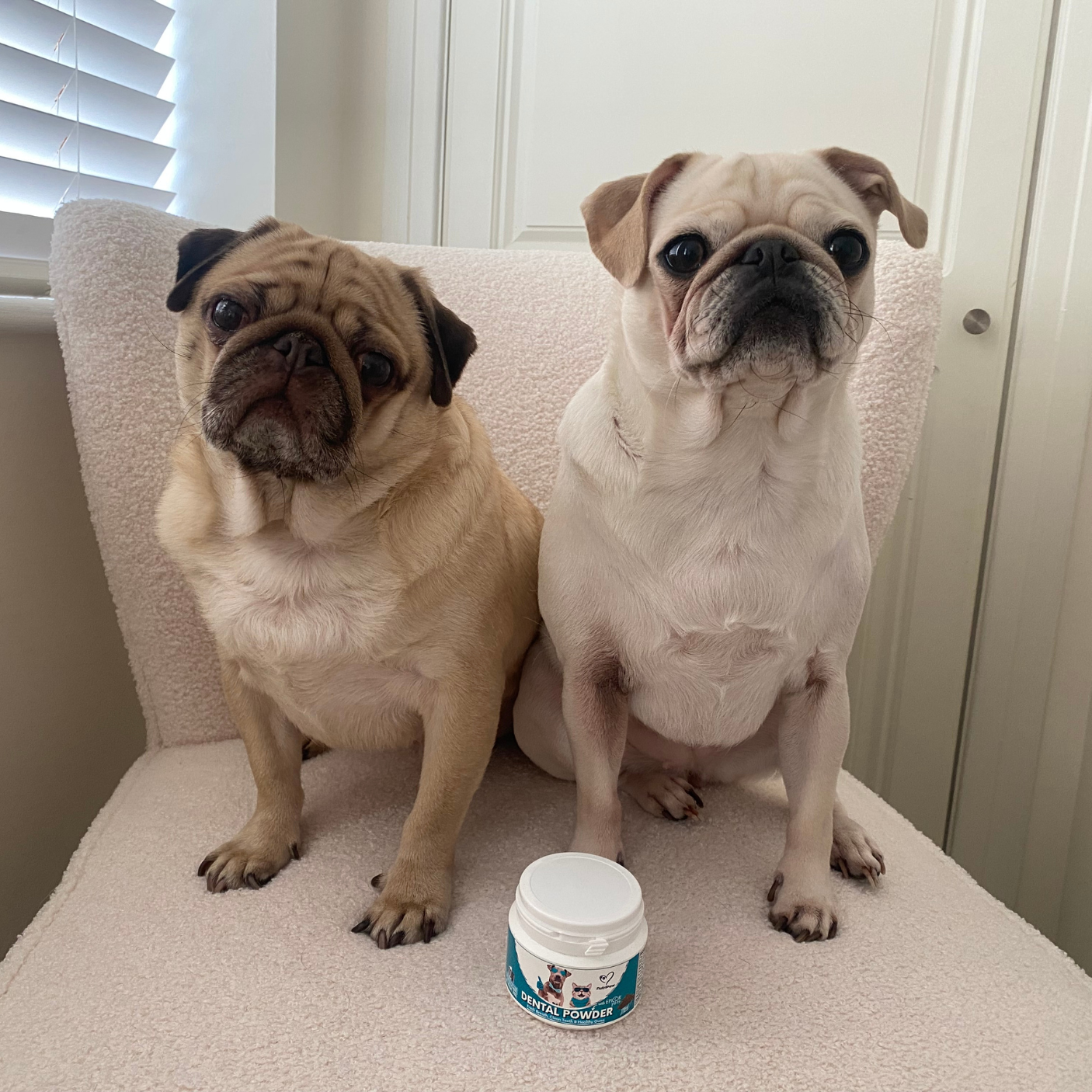 Nutri Paw Facebook ad