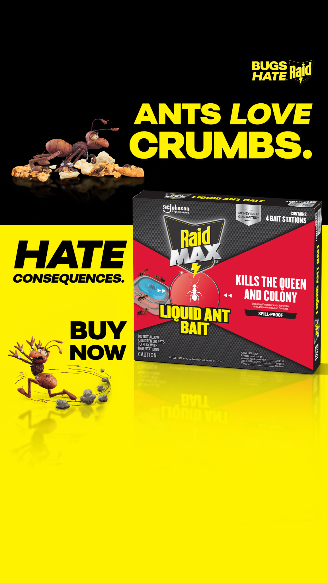 Raid Facebook ad
