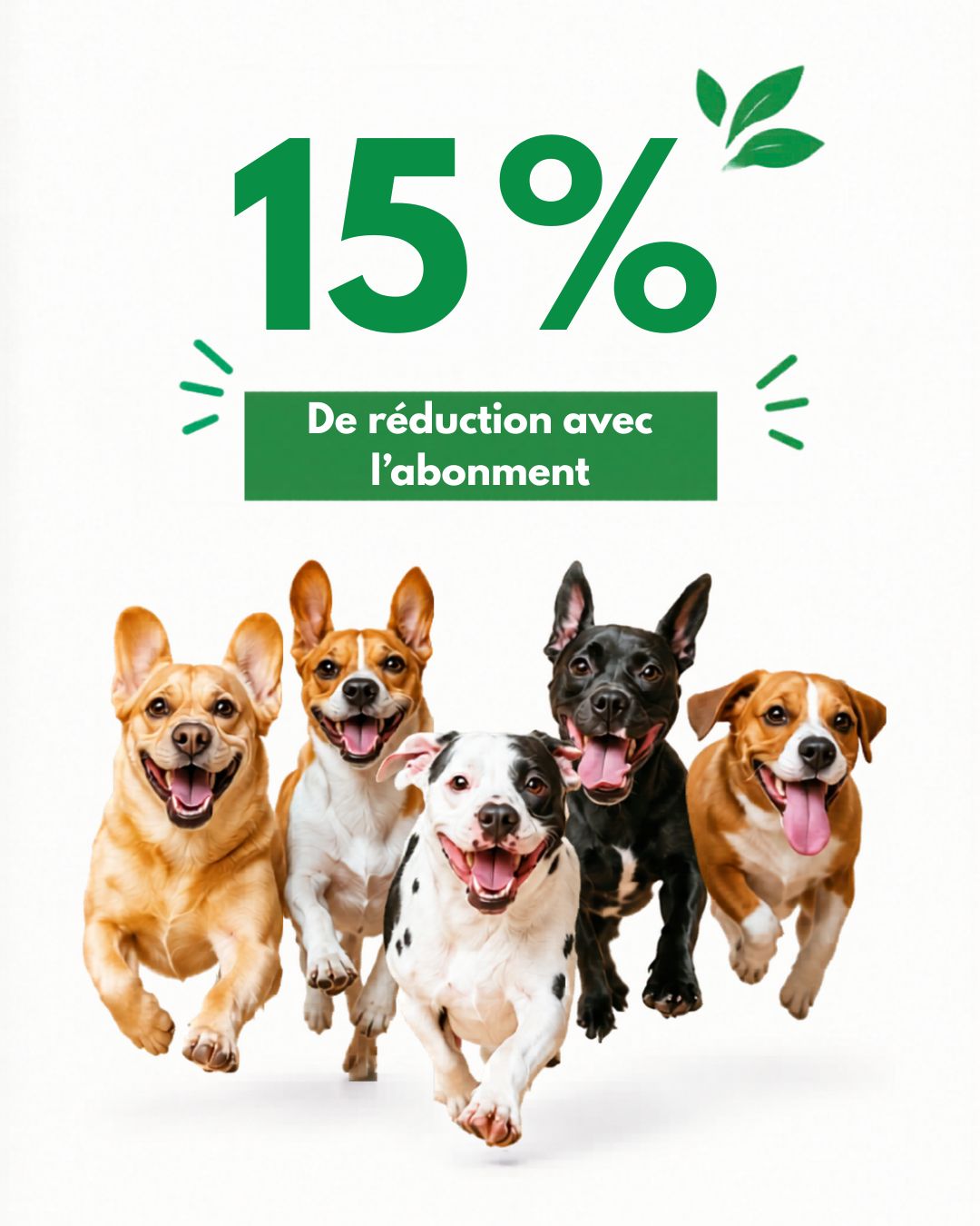PetGroundfr Facebook ad: Tienda | PetGround