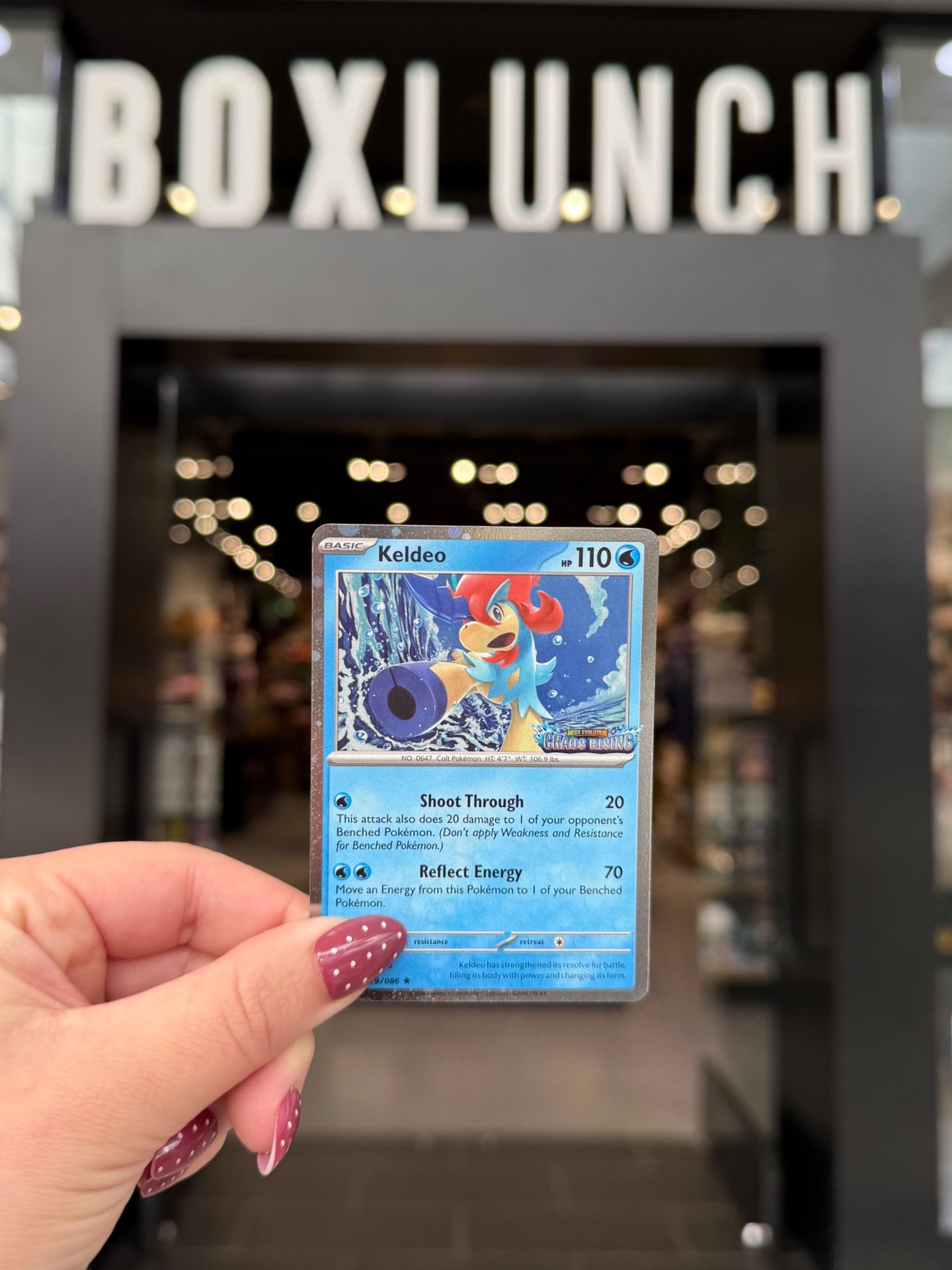 BoxLunch Facebook ad