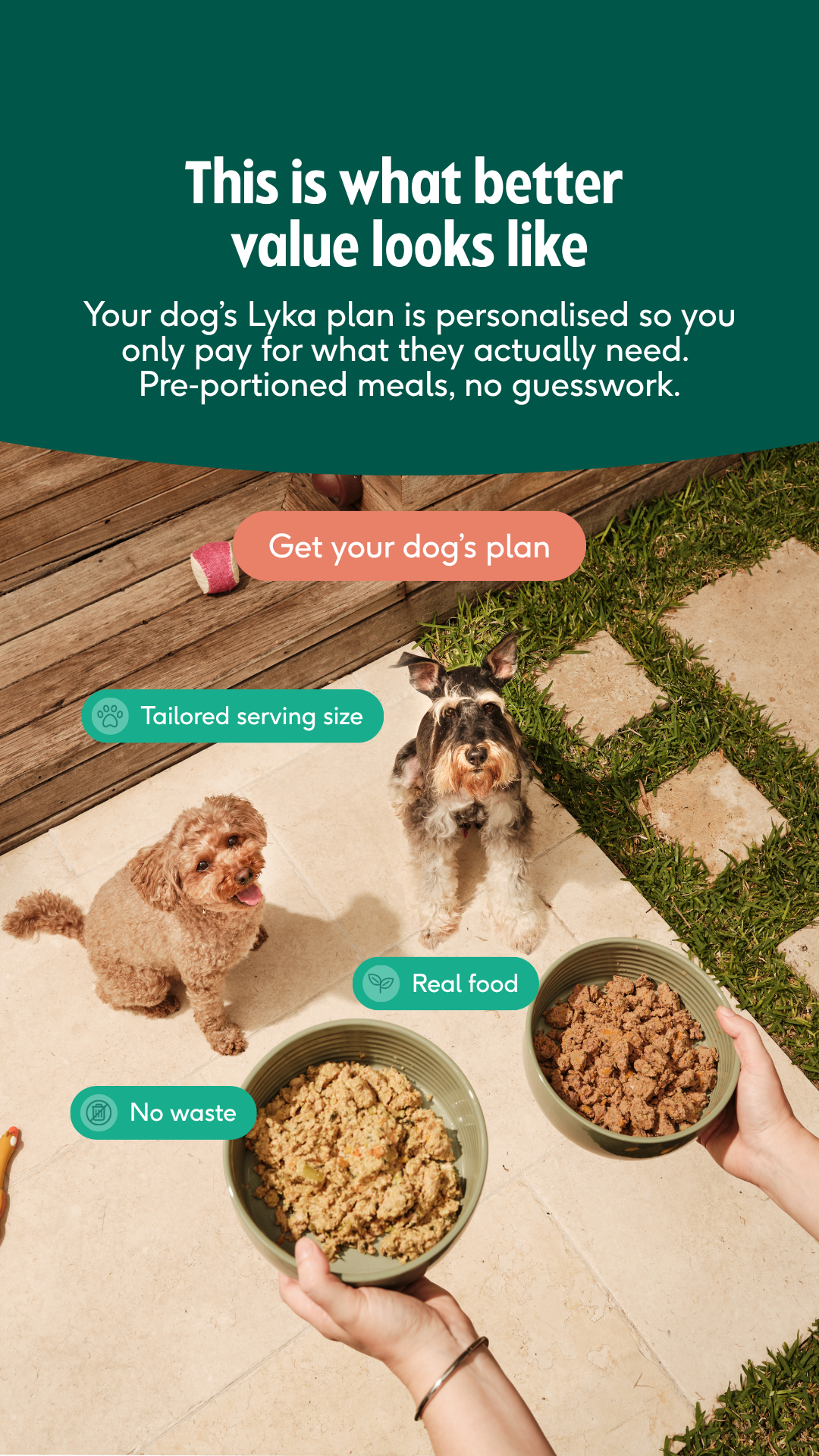 Lyka Pet Food Facebook ad