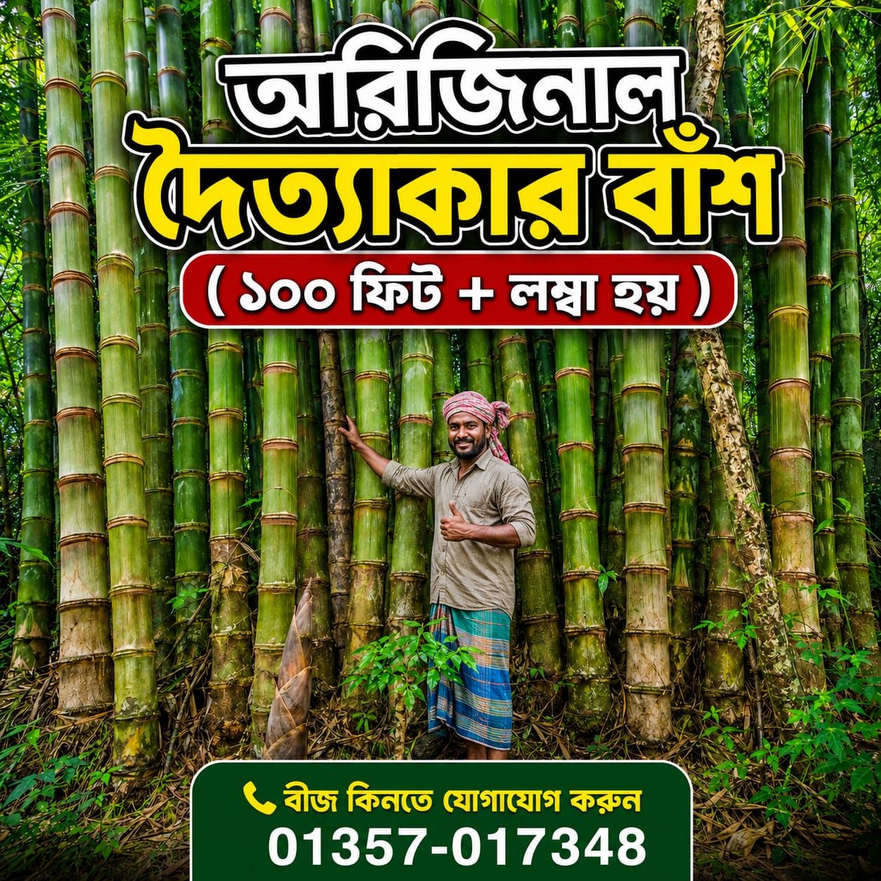 𝐒𝐞𝐞𝐝𝐆𝐨 Facebook ad