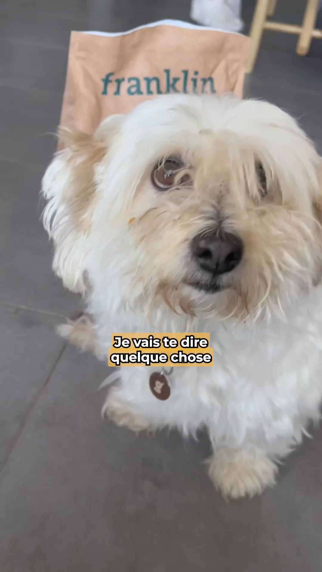 Franklin Pet Food Facebook ad: L'abonnement sans engagement!