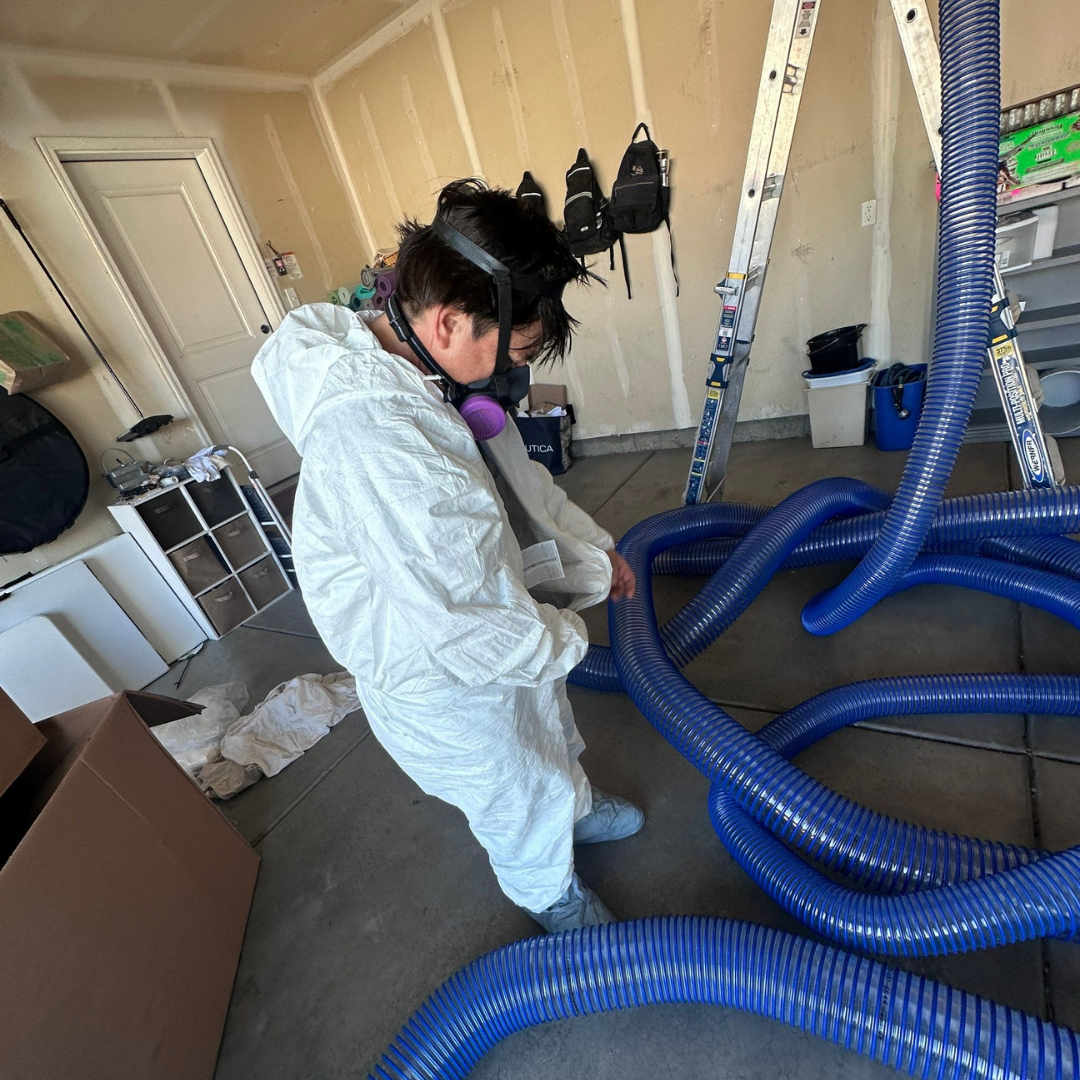 Utah Flood Guys Facebook ad: MOLD IN YOUR HOME?