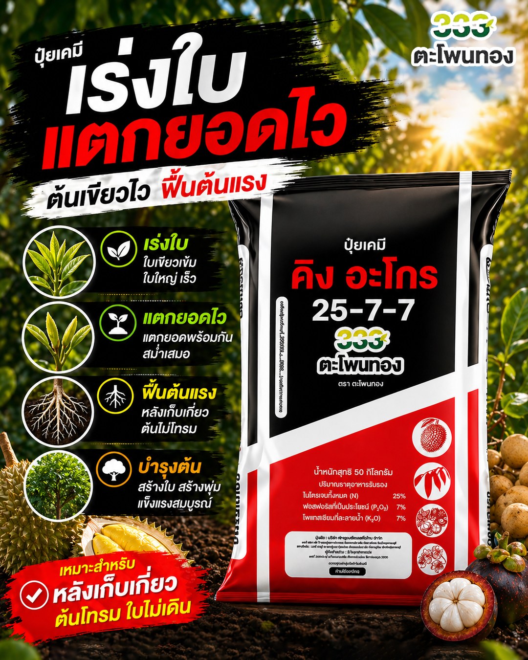 คิง อะโกร Facebook ad