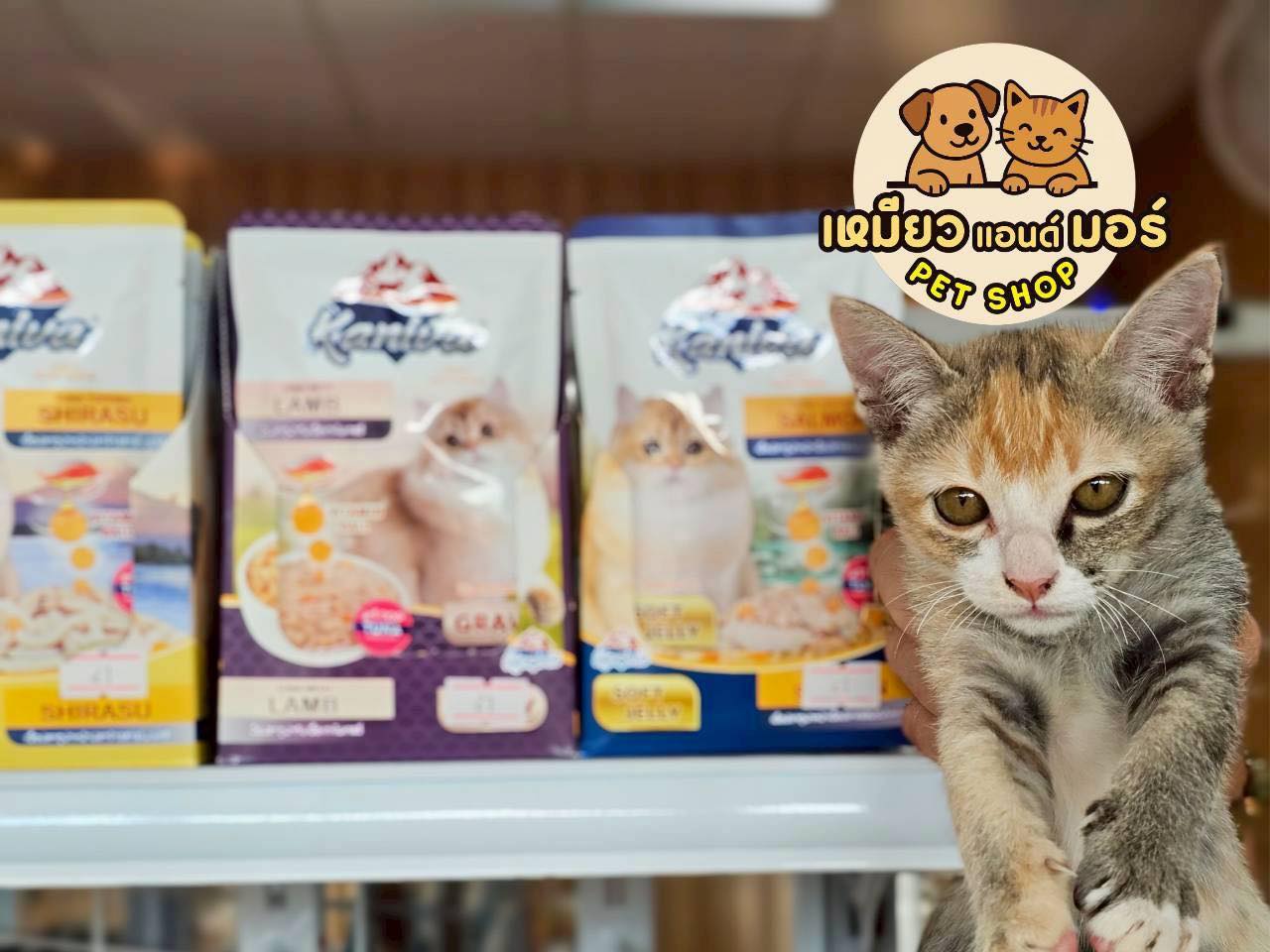 เหมียวแอนด์มอร์ pet shop  Facebook ad