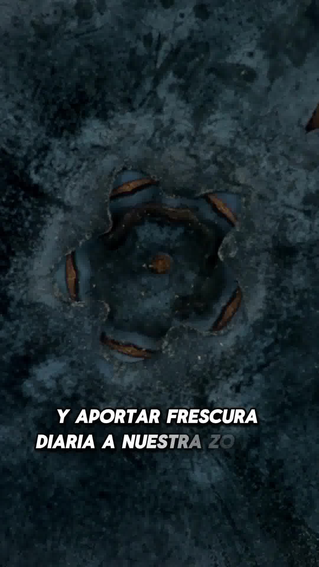 Banbu.zerowaste Facebook ad: ¿Tu zona íntima necesita un cambio? Pruebalo