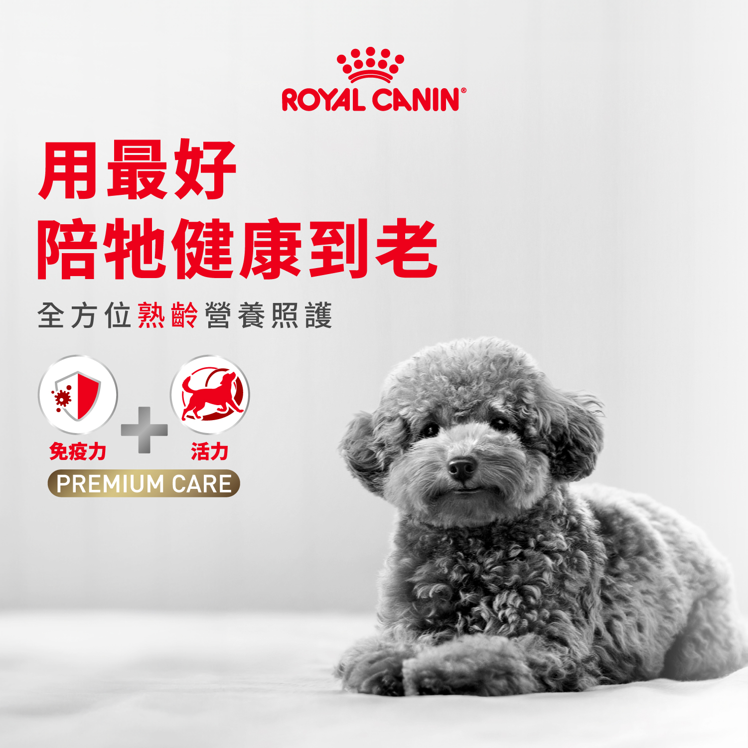 Royal Canin TW Facebook ad: 你家狗狗今年幾歲了呢?