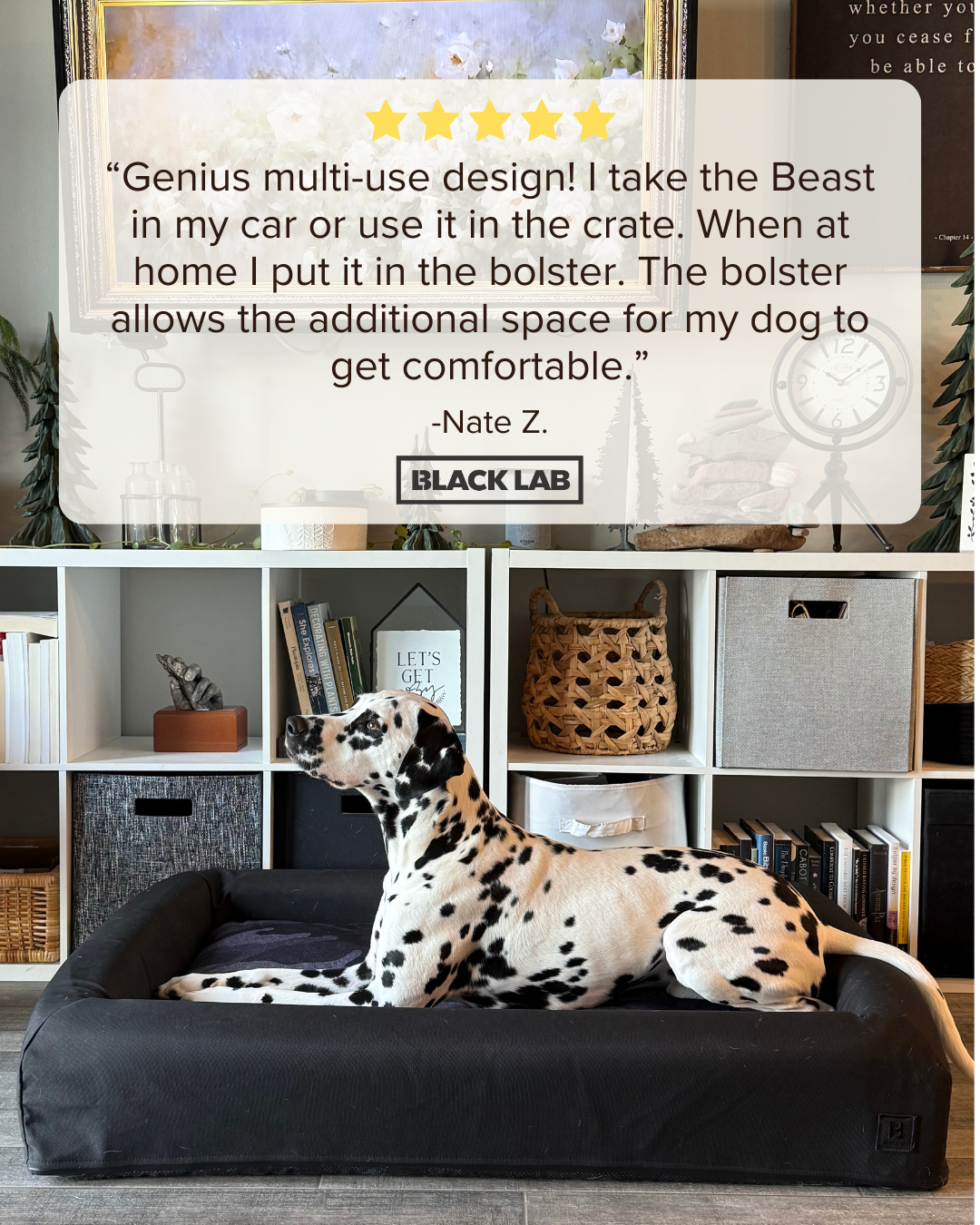 Black Lab Brands Facebook ad