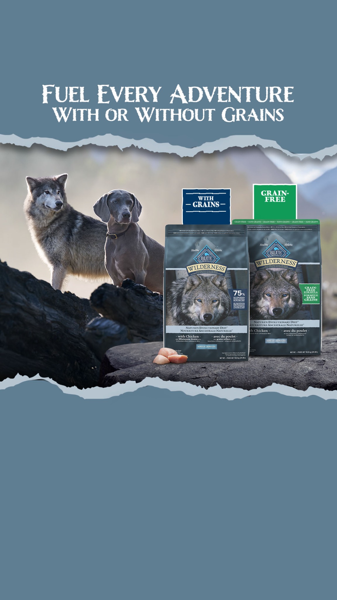 Blue Buffalo Facebook ad