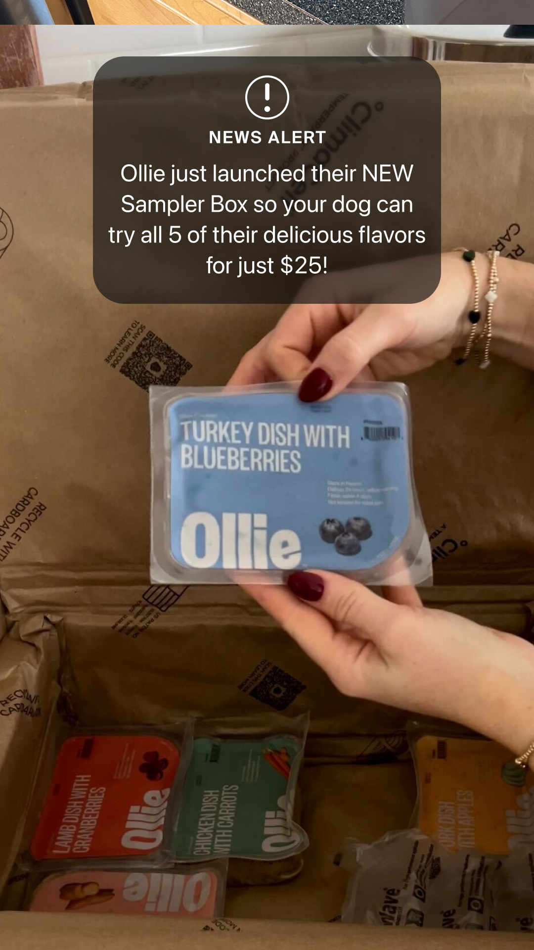 Ollie Facebook ad