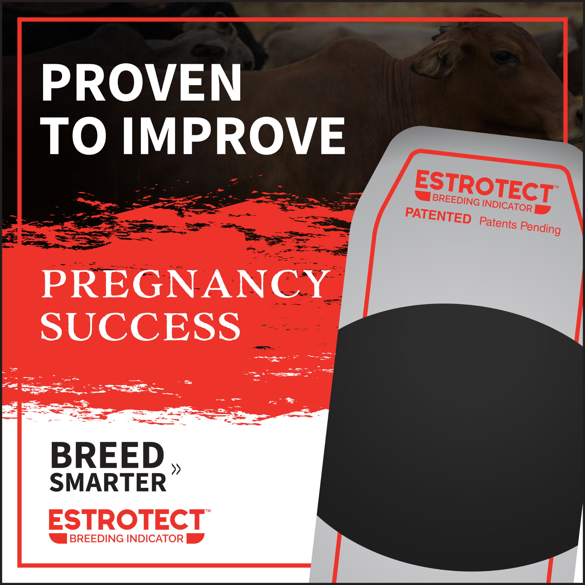 Estrotect Breeding Indicators Facebook ad