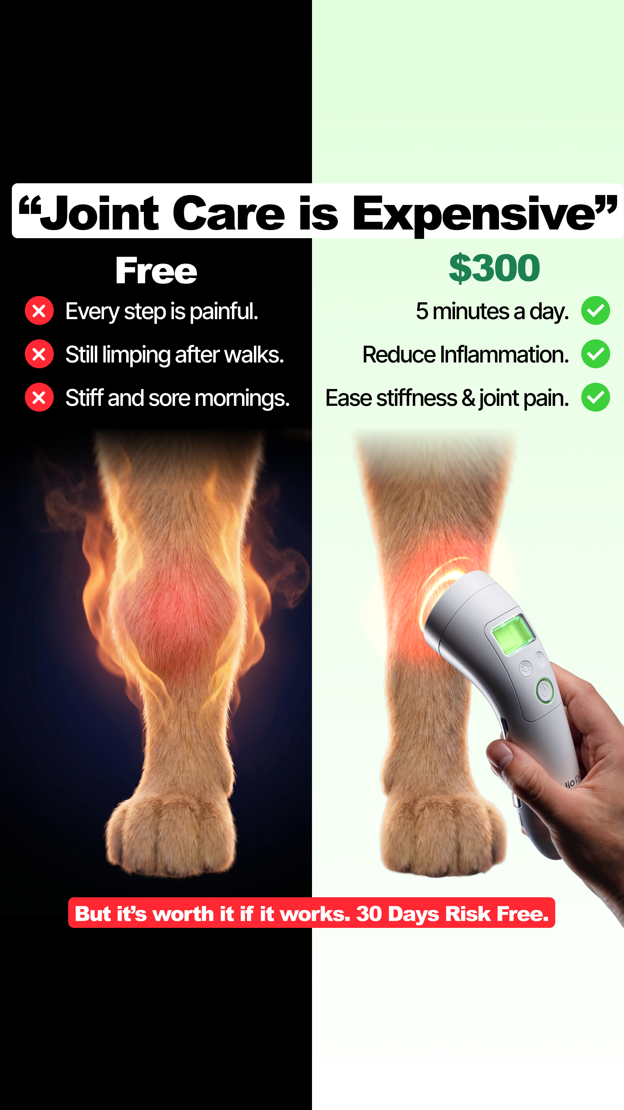 Helio Pet Facebook ad