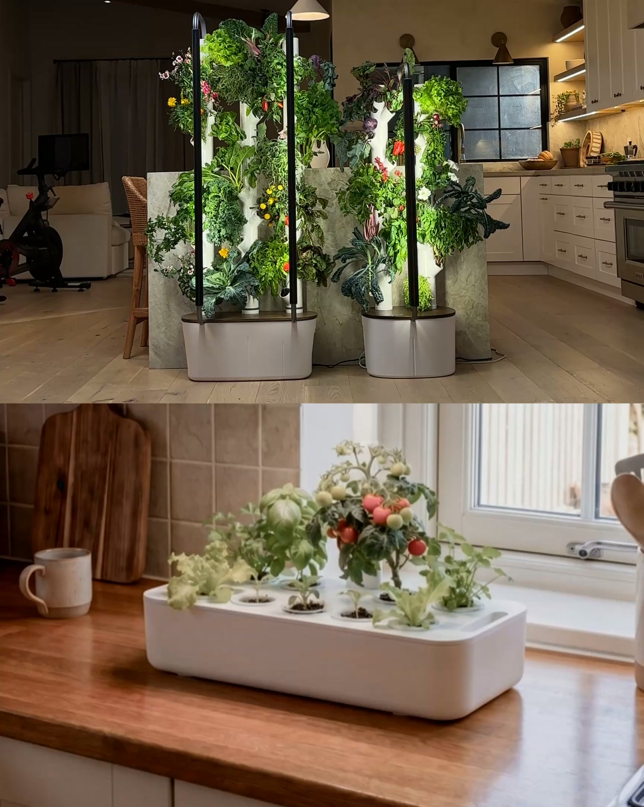Gardyn Facebook ad: Stop Growing Garnishes. Start Growing Dinners.