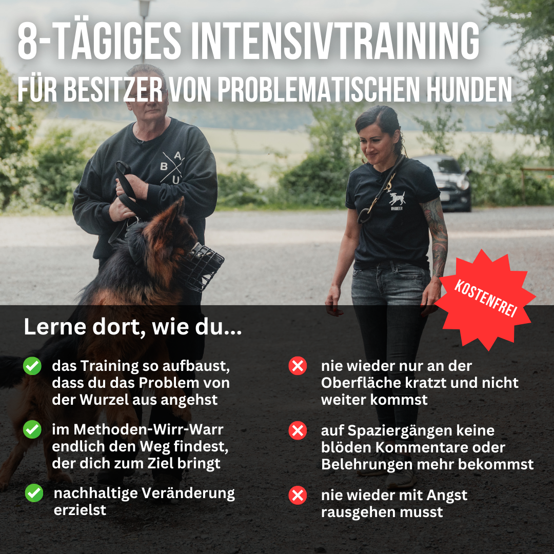 Sonee - Expertin für Problemhunde Facebook ad: Kostenfreier Videokurs